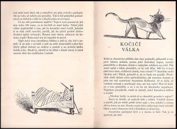 Rudolf Slawitschek: Anastázius Kočkorád, velký kouzelník