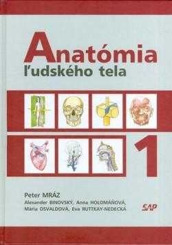Anatómia ľudského tela