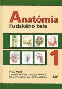 Anatómia ľudského tela