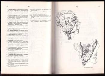 Heinz Feneis: Anatomický obrazový slovník