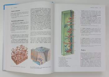 Radomír Čihák: Anatomie 1