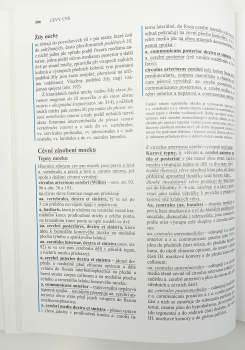 Radomír Čihák: Anatomie 3