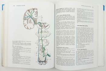 Radomír Čihák: Anatomie 3