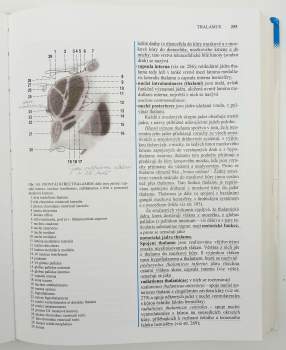 Radomír Čihák: Anatomie 3
