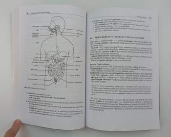 Miroslav Orel: Anatomie a fyziologie člověka pro humanitní obory