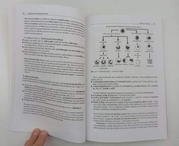 Miroslav Orel: Anatomie a fyziologie člověka pro humanitní obory