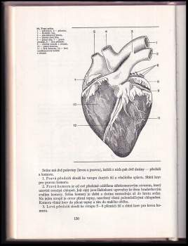 Blanka Miholová: Anatomie a fyziologie hospodářských zvířat