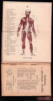 C Klunz: Anatomie a přírodopis člověka