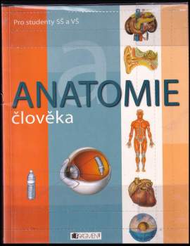 Anatomie člověka