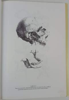 Ian Stuart Simpson: Anatomie člověka