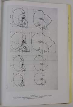 Ian Stuart Simpson: Anatomie člověka