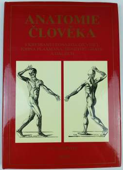 Ian Stuart Simpson: Anatomie člověka