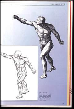 José María Parramón: Anatomie člověka