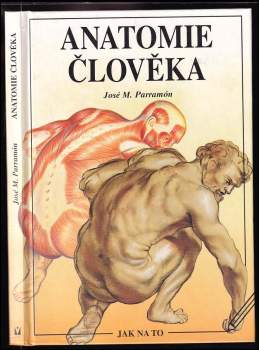 Anatomie člověka
