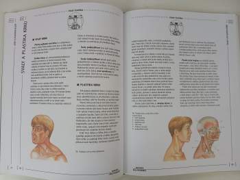 Anatomie člověka pro výtvarníky