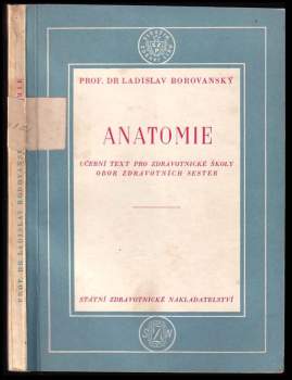 Anatomie