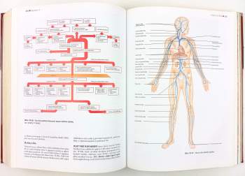 Elaine Nicpon Marieb: Anatomie lidského těla