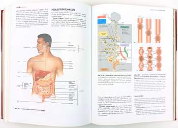 Elaine Nicpon Marieb: Anatomie lidského těla