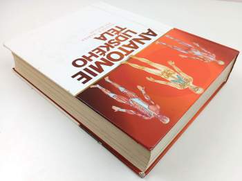 Elaine Nicpon Marieb: Anatomie lidského těla