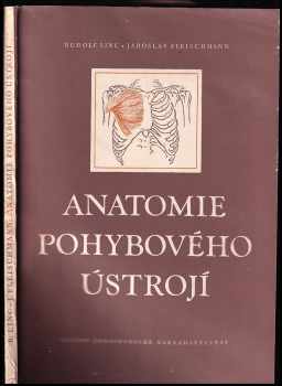Anatomie pohybového ústrojí