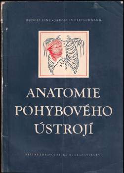 Anatomie pohybového ústrojí