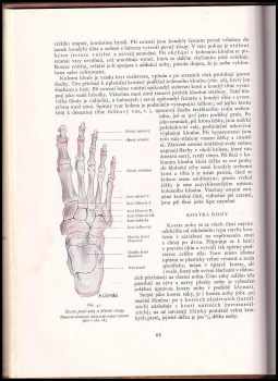 Josef Zrzavý: Anatomie pro výtvarníky