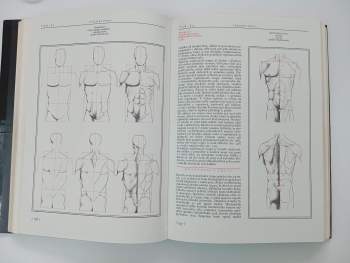 Josef Zrzavý: Anatomie pro výtvarníky