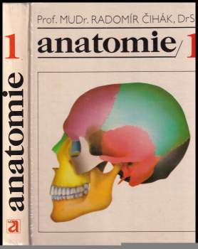 Anatomie