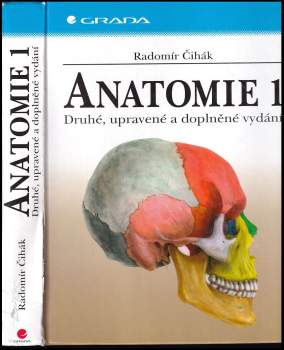 Anatomie