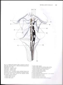 Miloš Grim: Anatomie