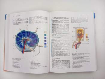 Miloš Grim: Anatomie