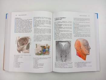 Miloš Grim: Anatomie