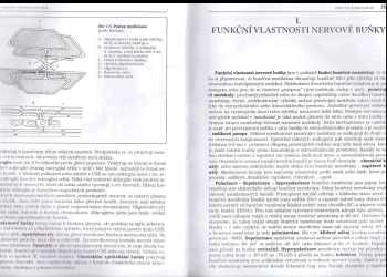 Pavel Petrovický: Anatomie s topografií a klinickými aplikacemi