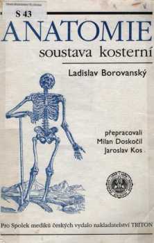 Anatomie