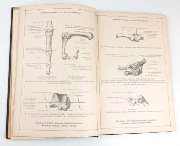Carl Toldt: Anatomischer Atlas Fur Studierende Und Arzte