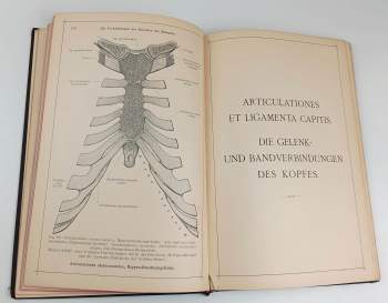 Carl Toldt: Anatomischer Atlas Fur Studierende Und Arzte
