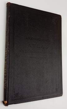 Anatomischer Atlas Fur Studierende Und Arzte