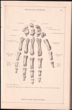 Carl Toldt: Anatomischer Atlas Fur Studierende Und Arzte