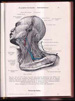 Carl Toldt: Toldts Anatomischer Atlas für Studierende und Ärzte