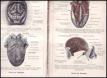 Carl Toldt: Anatomischer Atlas für Studierende und Ärzte