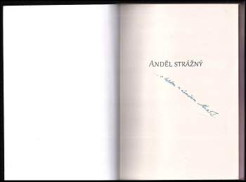 Alue K Loskotová: Anděl strážný