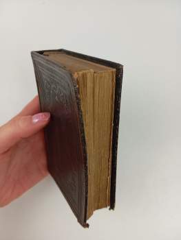 Innocenc Antonín Frencl: Anděl strážný