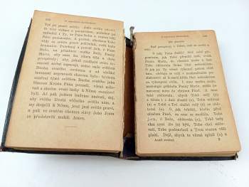 Innocenc Antonín Frencl: Anděl strážný