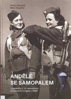 Andělé se samopalem