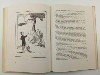 Hans Christian Andersen: Andersenovy pohádky