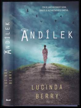 Lucinda Berry: Andílek