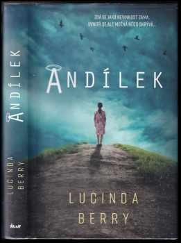 Lucinda Berry: Andílek