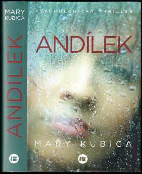 Mary Kubica: Andílek
