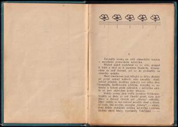 Vlasta Pittnerová: Andulko, mé dítě