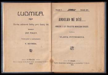 Vlasta Pittnerová: Andulko, mé dítě
